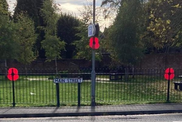 Remembrance Lamp Post Poppies