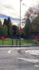 Remembrance Lamp Post Poppies